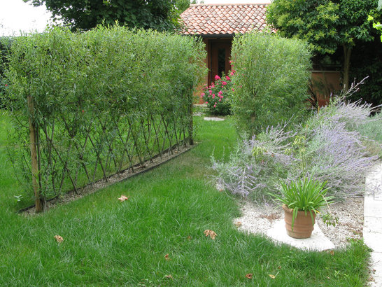 Orto e giardino (13)